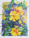 Yellow Flowers 300 inc frame