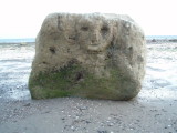 Random face on a rock in Las Grutas