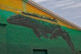 Newly Wyland painted building