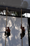 Peking Acrobats