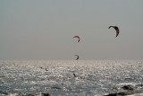 kites0014