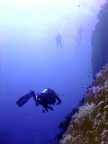 Divers Diving