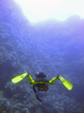 Diver Ahead