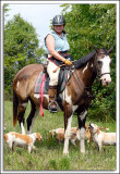 Beagles_D2C_2165.jpg