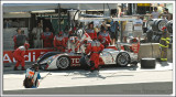 P-LeMans-07_347w.jpg