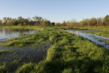 The spillway at the east end of Sunrise Lk