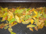 Mostly Elm Tree Foliage at the Street Curb in the Rain