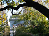 Golden Rain Tree & Arch
