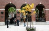 NYU Law School - Vanderbilt Hall