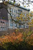 Cable Building & Cherry Tree Foliage