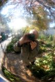 Garden Gazing Ball Reflections