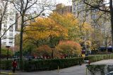 Playground View