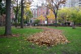 Park View - Washington Square North