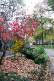 Park View