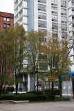 Pear Trees & NYU Housing & Library