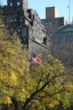 Northeast View - Scholar Tree & U.S. Flag