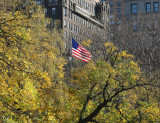 Scholar Tree Foliage & U.S. Flag