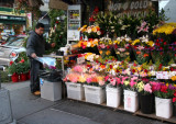 Florist at Thompson Street