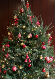 Christmas Tree - NYU Residence Lobby