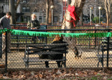 Small Dog Run with Holiday Decorations