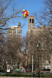 Remnents of New Years Eve - Balloons in a Scholar Tree