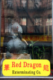 Red Dragon Exterminating Company Store Window