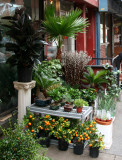 Florist near Mulberry Street