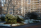 First Snow of the Season