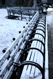 Snow Covered Benchs