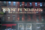 Trust Fund Baby Store