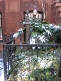 Residence Sidewalk Garden