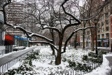 Apple Tree & South View of the Garden