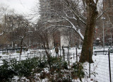 Park & Arch View