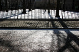 Driveway, Walkway & Oak Tree Stand