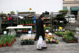 Flower Market View