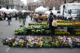 Flower Market View