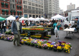 Flower Market View