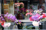 VSF Flowers Window