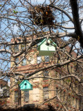Bird Houses & a Squirrels Nest