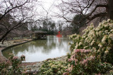 Japanese Pond Garden