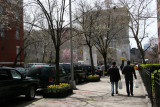 Spring View toward the Washington Square Arch