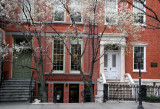 NYU School of Social Work & Flowering Pear Trees