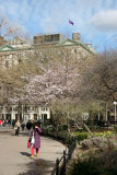 NYU Main Building at WSE