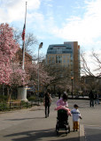 NYU Student Center - Half Mast Flag in Memory of Virginia Tech Tragedy