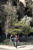 Southwest Corner at Mercer Street