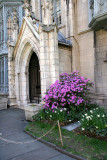 Parish House & Azaleas