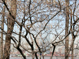 Garden/River View