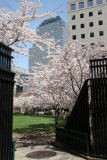 Garden Entrance from the Street