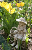 Little Bo Peep & Yellow Tulips