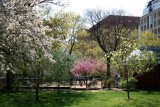 Park View  - NYU Library & Student Center